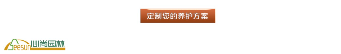 九州官网(中国集团)有限公司