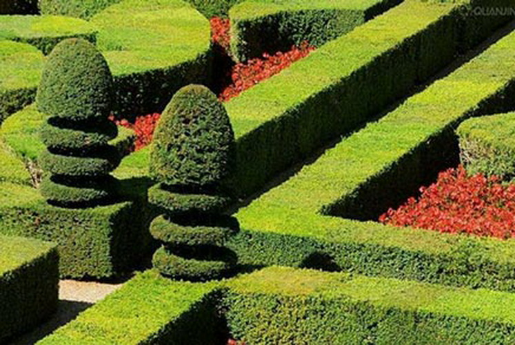 九州官网(中国集团)有限公司