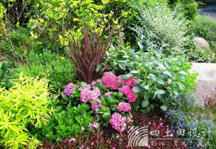 九州官网(中国集团)有限公司