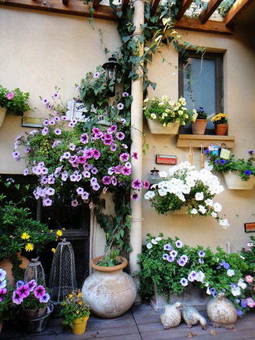 九州官网(中国集团)有限公司